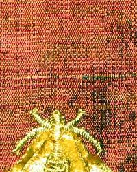 Catania Silks Napolean Bee Gold Mercury